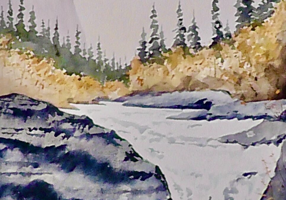 Elbow Falls kananaskis country.
