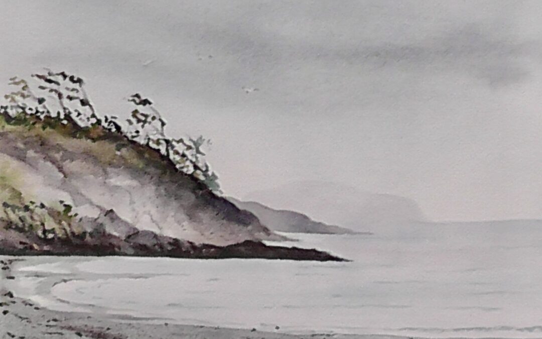 Coastal view Tofino.