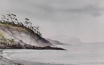 Coastal view Tofino.